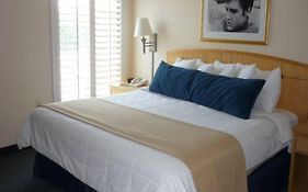 Elvis Presley'S Heartbreak Hotel